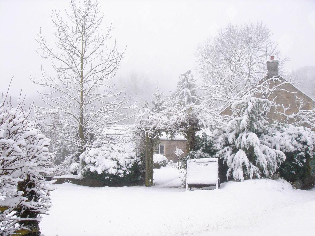 Thorpe Cottage Country Guest House アッシュボーン エクステリア 写真